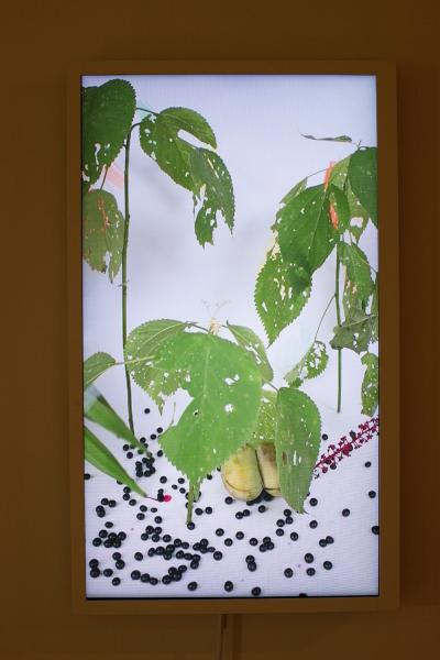 Exhibition Image